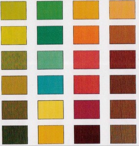 Les couleurs de la saison automne