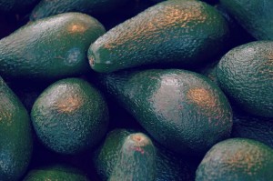 huile-vegetale-avocat