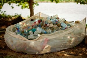 resolution nouvel an environnement
